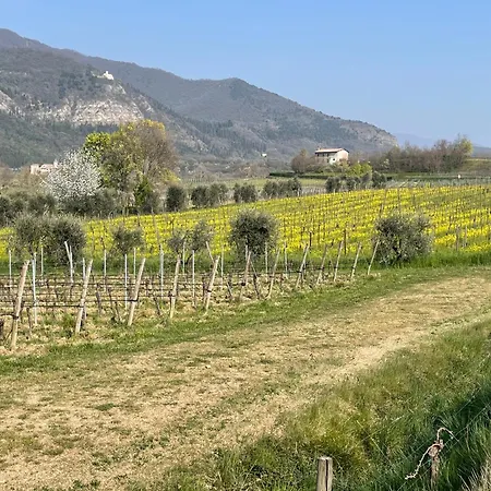 Caterina Vacanze Apartament Monticelli Brusati
